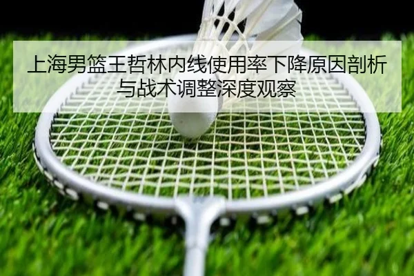 上海男篮王哲林内线使用率下降原因剖析与战术调整深度观察 | kaiyun