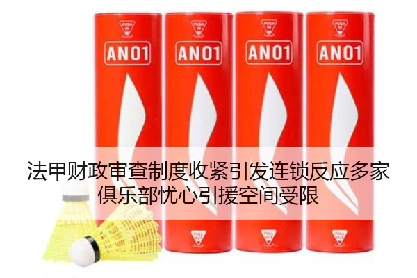 法甲财政审查制度收紧引发连锁反应多家俱乐部忧心引援空间受限 | kaiyun